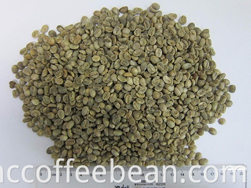 حبوب البن الخضراء الصينية الخام ، نوع أرابيكا 100٪ ، مصنع القهوة الصينية